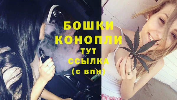 PSILOCYBIN Волосово