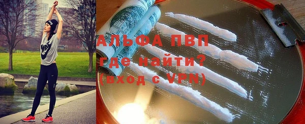 PSILOCYBIN Волосово
