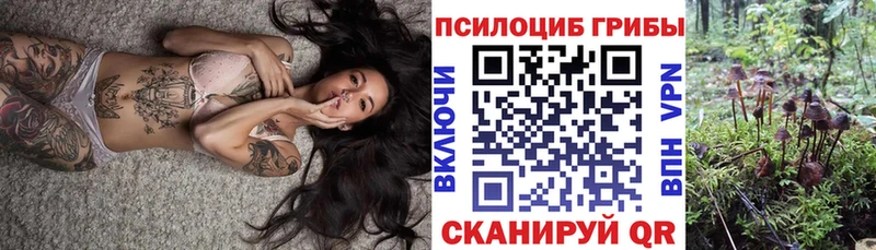 Псилоцибиновые грибы Magic Shrooms  даркнет какой сайт  Нальчик  купить наркотики цена 